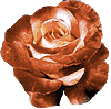 rose07.gif